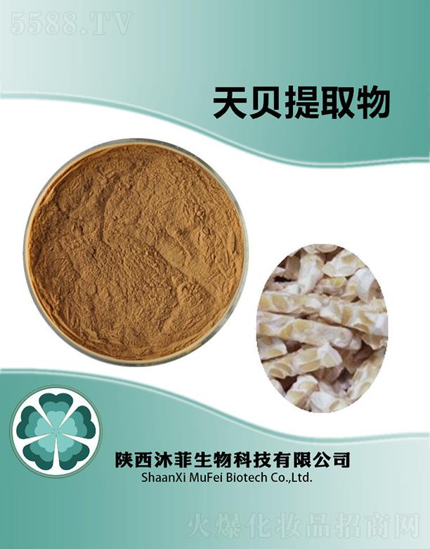 �����ؐ��ȡ��