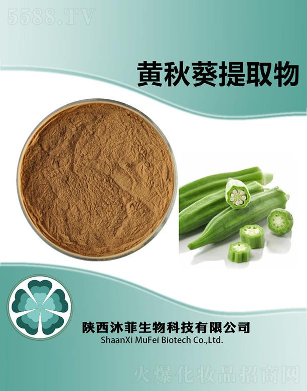 ����S�����ȡ��