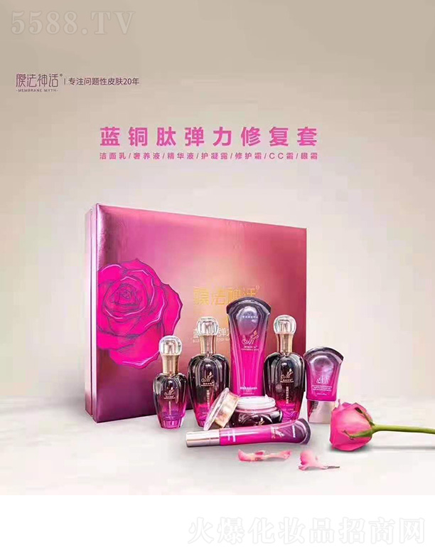 Ĥ����Ԓ(hu��)�{(l��n)�~�ď����ޏ�(f��)��