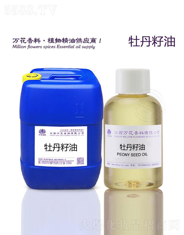 �f(w��n)��ĵ������