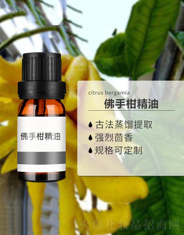 ���ָ̾���