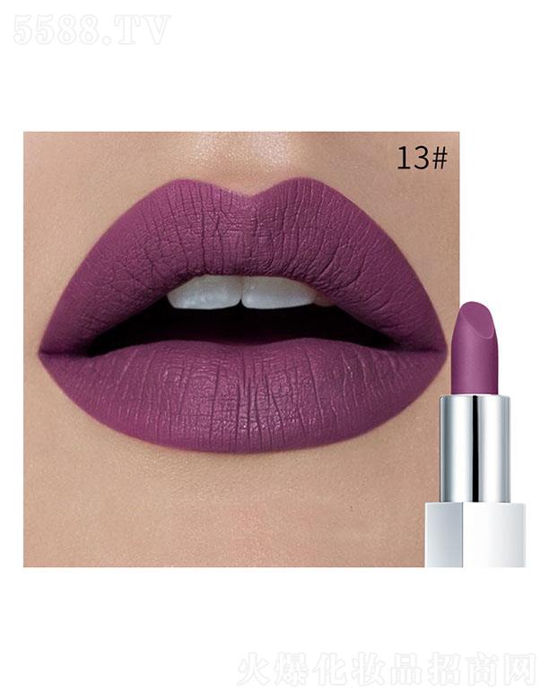 Pudaier�貽z�q�ڼt13#