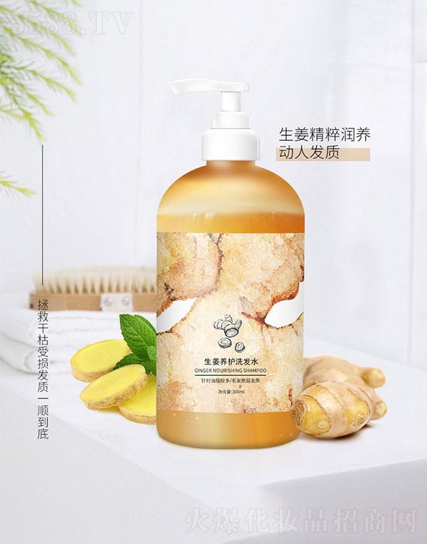 廣東英騰生物 英騰姜養(yǎng)護(hù)洗發(fā)水 滋養(yǎng)發(fā)絲