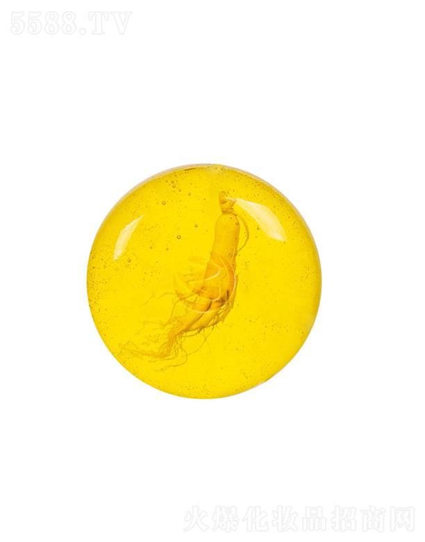 �V����֥������������ ϴĘ�ֹ�����沿Ę�������坍���x���ݹ�����