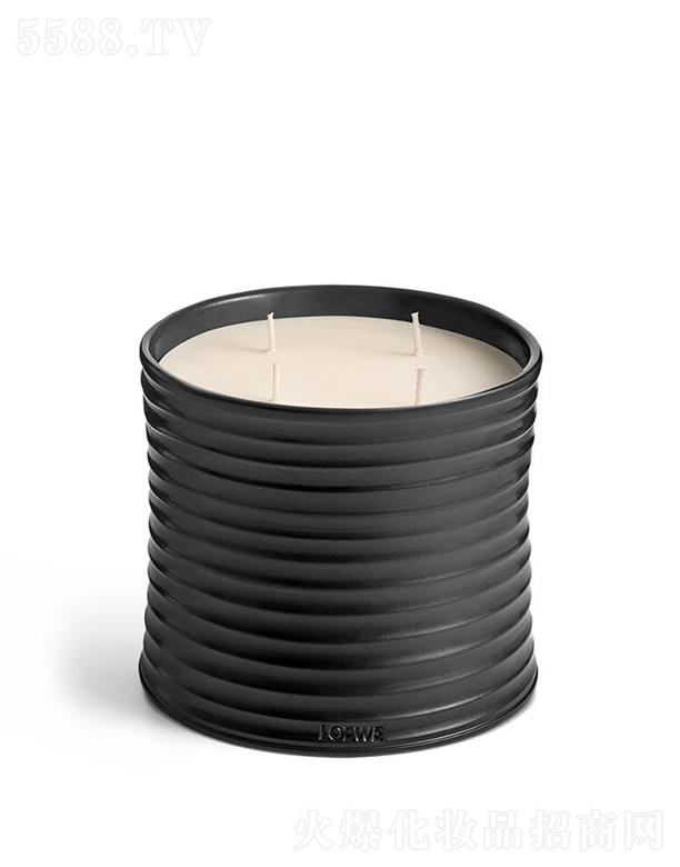 LOEWE��̖�ʲ��㾫Ϟ�T 100����