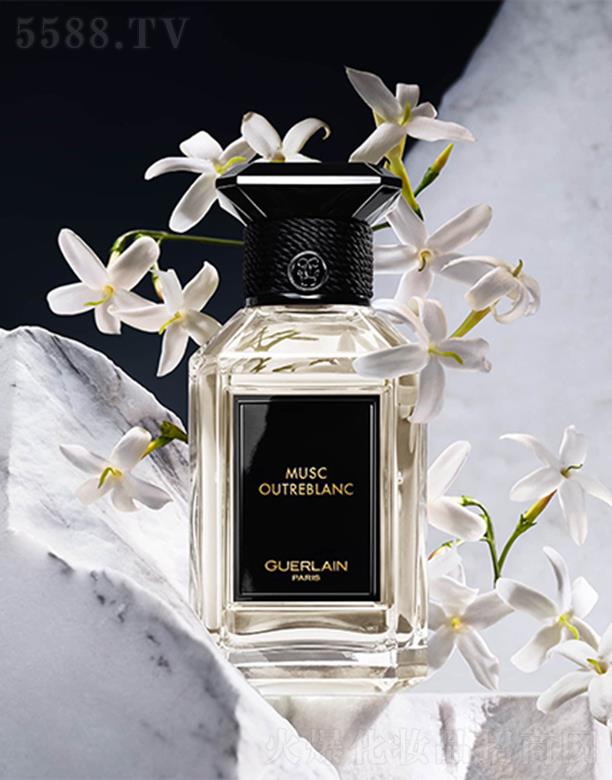 ���mˇ�g(sh��)ɳ��ϵ���İ�����-���㾫100ml ��(du��)������Ķ������[