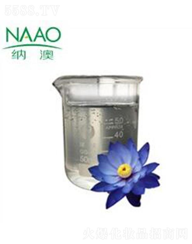 �{��̩���{ɏ����¶ �͜����s