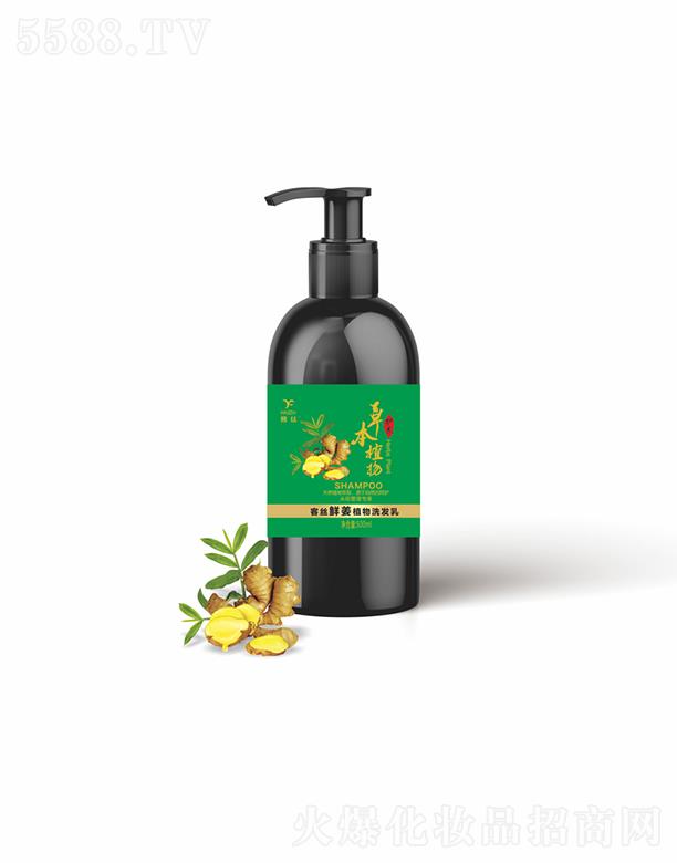 �ͽz�r��ֲ��ϴ�l(f��)��  500ml  �iס�I�B(y��ng)