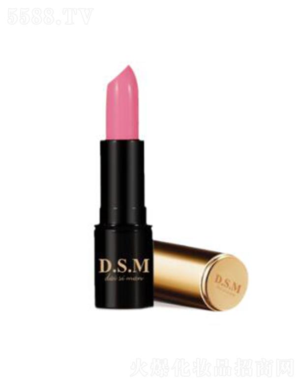 D.S.M��z���������пڼt101 �������|�Ѓ�(y��u)�ŵ��@ʾ��