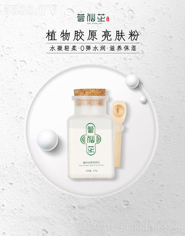 �C��ֲ֥���zԭ���w�� 230gˮ���p�� Q��ˮ�� ���B(y��ng)����