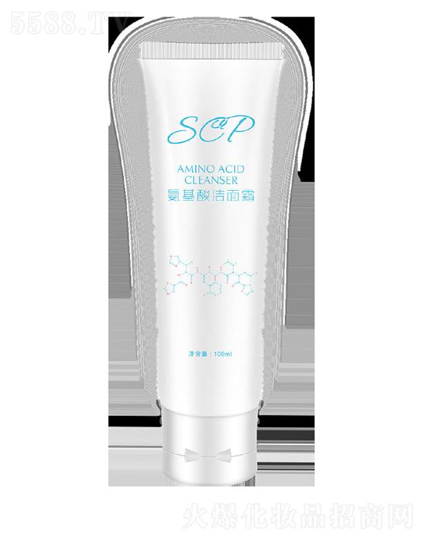 �V���ɱ���  �(r��n)������ϴ����  100g   ����坍