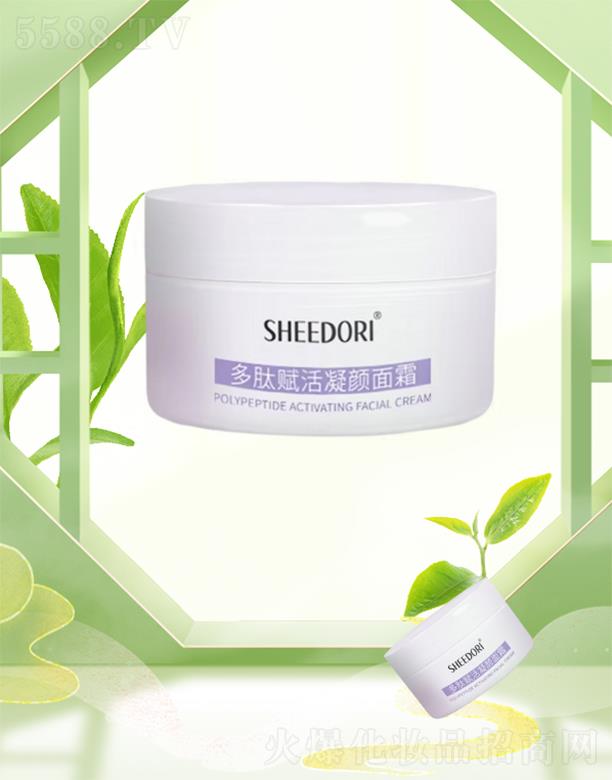 ����������x�������˪