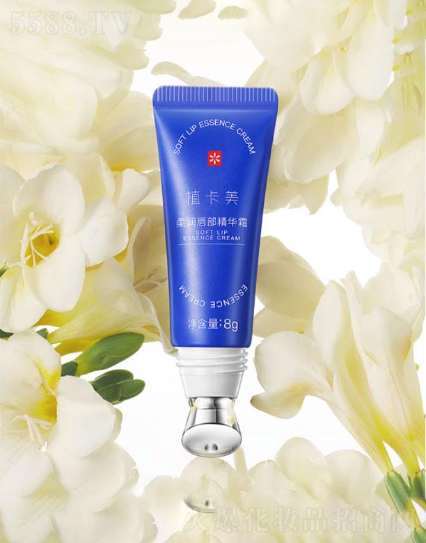 ֲ�����᝙�������A˪