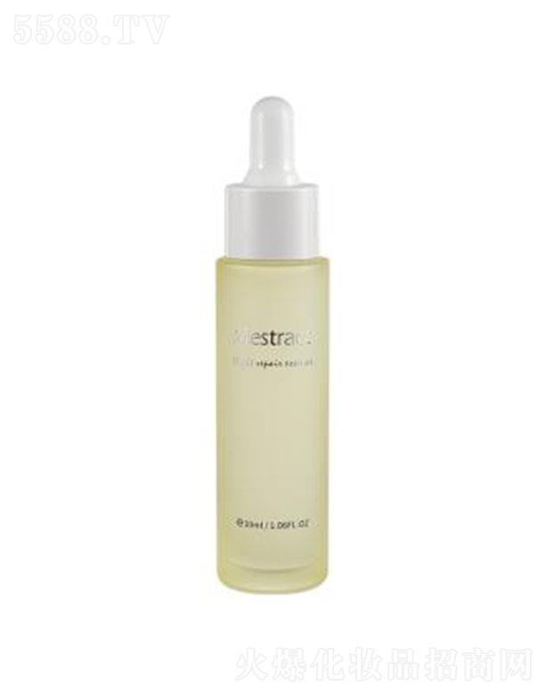 Mestractҹ�g���o���A