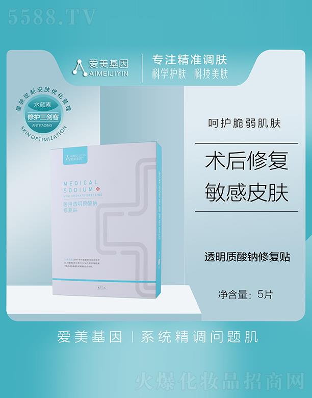 ��(��i)�������t(y��)��͸���|(zh��)���c�ޏ�(f��)�N