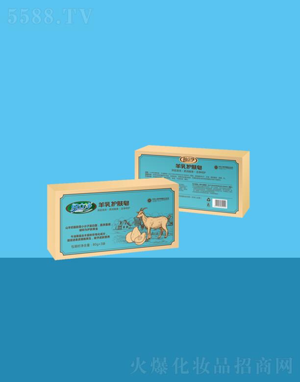 �W���������o�w��