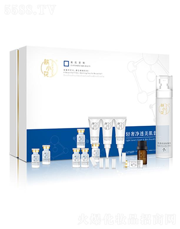 �wС���p�݃�͸������