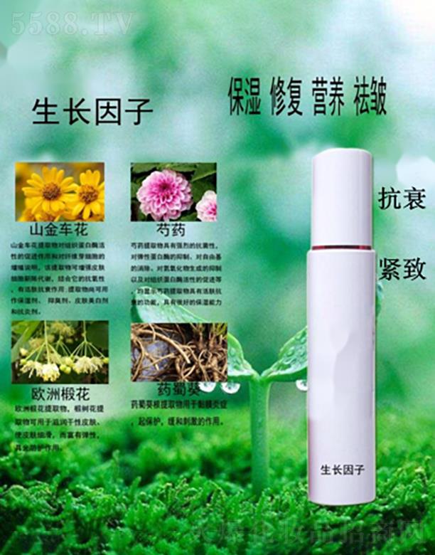 �����ޏ�(f��)���A