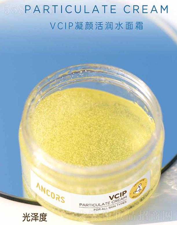 ANCORS-VCIP��(r��n)ˮ��˪