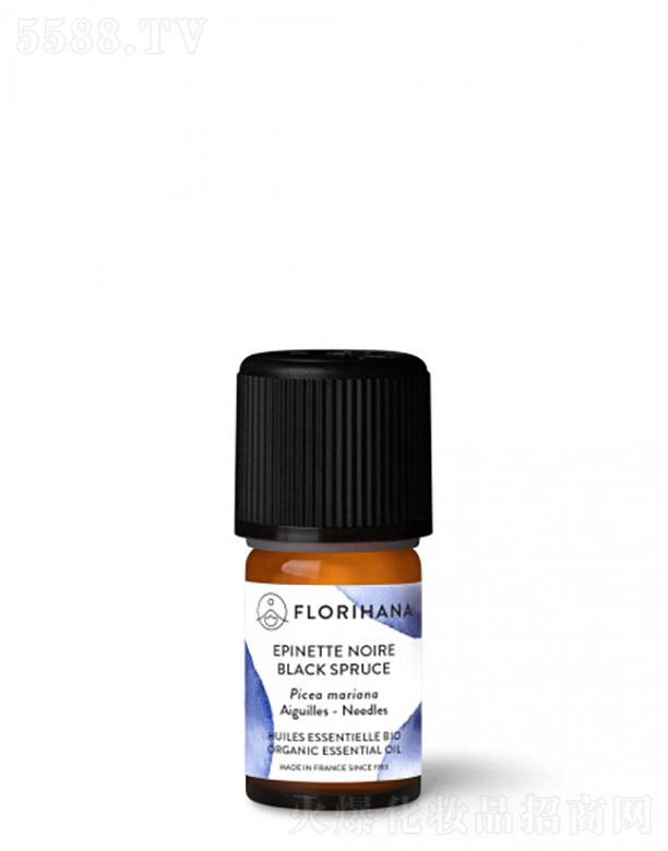 ����ɼ����