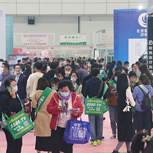 2020��(j��)�ϸ߶����I(y��)���[��(hu��)�҂������̈F(tu��n)�(du��)�c�͑�һ·���S��