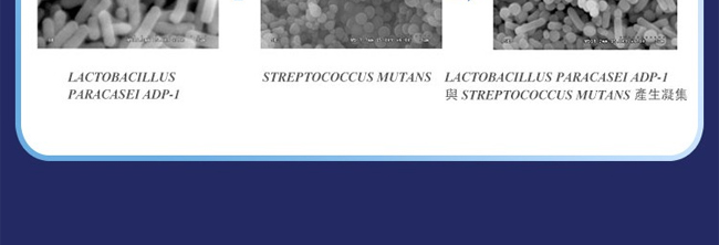 �������������ࣨ��ˬ���m��