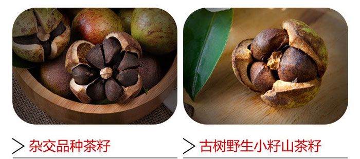 茶氏家族-山茶籽調理精油 茶氏家族-山茶籽調理精油