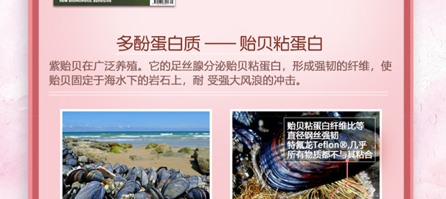 �Oؐճ�����ޏ͇��Foem