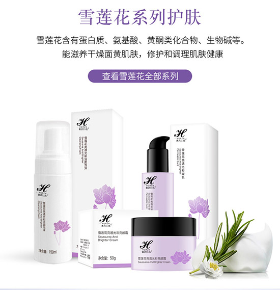 �S�c�ʗ�ѩɏ����͸������ĭ