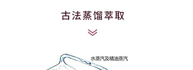 �؊}�ز��(sh��)��¶