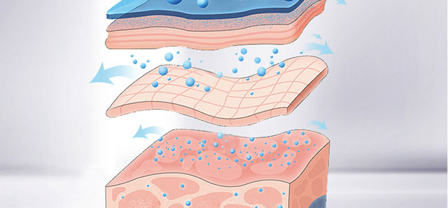 ����(r��n)���o(h��)��Ĥ