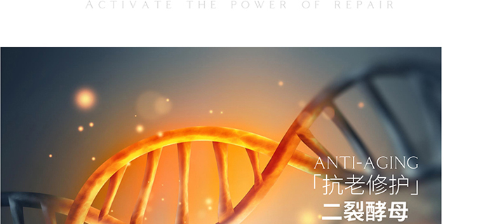 ����(m��ng)Ȫ�݌�������˪