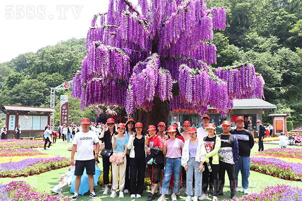 ���h�F�@�Ͼ�ɽ���y�������֮��