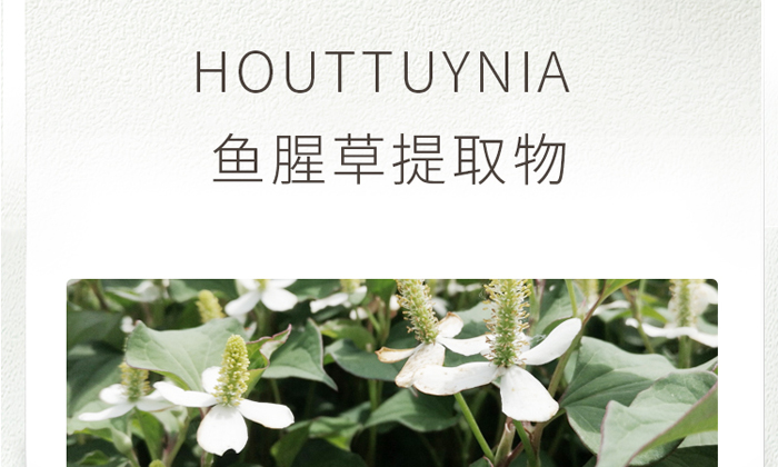 古璟妍舒緩修護(hù)精華液 古璟妍舒緩修護(hù)精華液