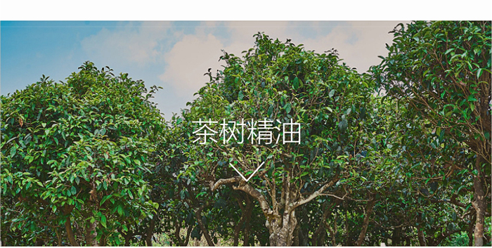 ؐ��ޱԊ�������R�����ȡ�С���z��