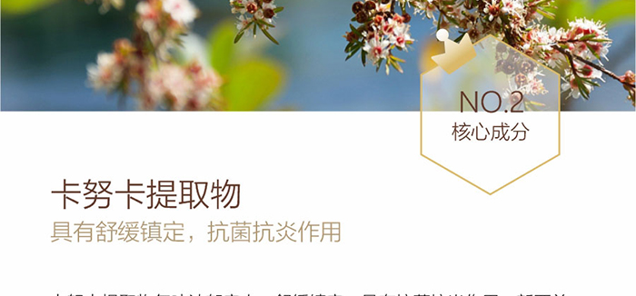 ؐ��ޱԊ�������R���������F