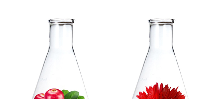 ���ǉ�(m��ng)�ɼ���͸�B(y��ng)�o(h��)��