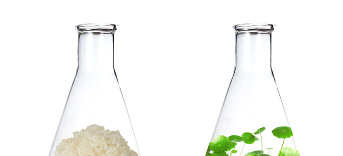 ���ǉ�(m��ng)�ɼ���͸�B(y��ng)�o(h��)��