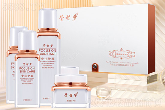 ���ǉ��ɼ���͸�B(y��ng)�o��