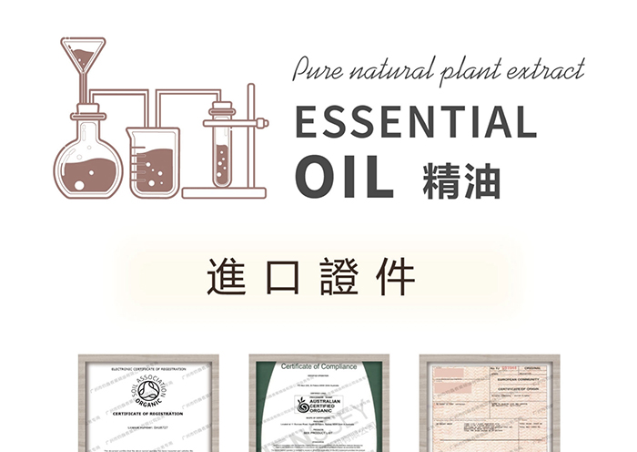 歐琪俐曦寶套 歐琪俐曦寶套