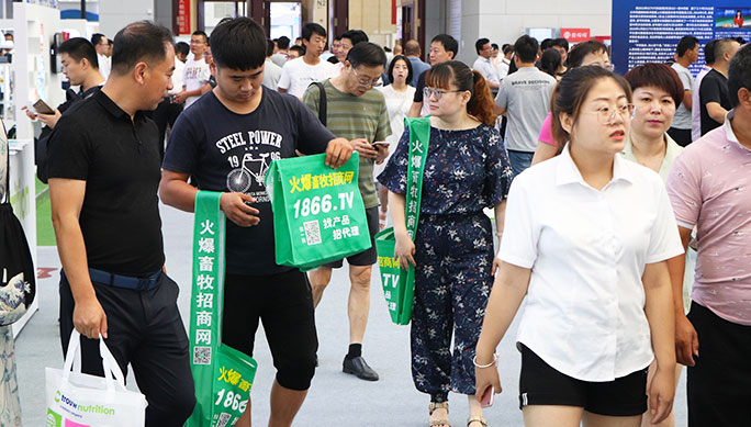 չ������