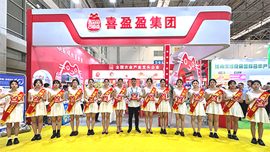 ���ƏV���ݴ�������