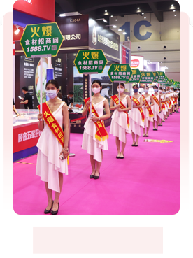 ������ ��(chu��ng)�°l(f��)չ